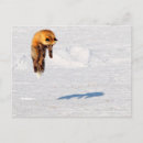Pesquisar por yukon canadá cartoes postais Neve