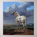 Pesquisar por cavalos pintados pôsteres Animal