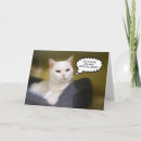 Pesquisar por gato persa branco cartoes Felino
