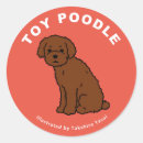 Pesquisar por caniche de brinquedo Cão