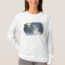 Pesquisar por catarata camisetas Névoa