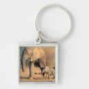 Pesquisar por elefante africano chaveiros Imagem colorida