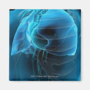 Pesquisar por coração humano imas Vertical