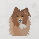 Pesquisar por sheltie cartoes postais Animal