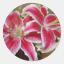 Pesquisar por perfumado adesivos Rosa