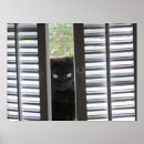 Pesquisar por peekaboo pôsteres Gato
