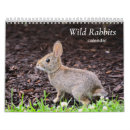 Pesquisar por calendário do coelho calendarios Coelhos