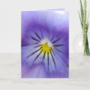 Pesquisar por viola cartoes Pansies
