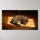 Pesquisar por cute pet pôsteres Cat