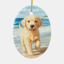 Pesquisar por labrador retriever ornamentos Cachorrinho