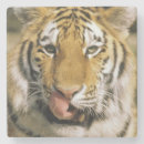 Pesquisar por jardim zoológico porta copos Animais selvagens