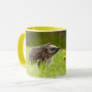 Pesquisar por european canecas Animal