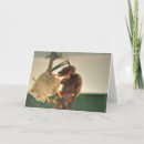 Pesquisar por buzina horizontal cartoes Flor