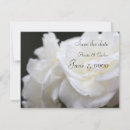 Pesquisar por bonitos do noivado convites Feminina