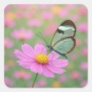 Pesquisar por cosmos adesivos Jardim
