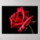 Pesquisar por fundo vermelho pôsteres For her