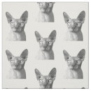 Pesquisar por esfinge artesanato material Gatinho