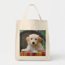 Pesquisar por conserva bolsas Conserve