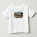 Pesquisar por coliseu romano camisetas Antigo