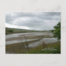 Pesquisar por carmel california cartoes postais Natureza