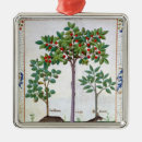 Pesquisar por erval ornamentos Robinet