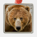 Pesquisar por alasca natal ornamentos Urso