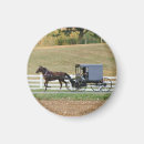 Pesquisar por lancaster imas Amish