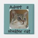 Pesquisar por aspca Gato