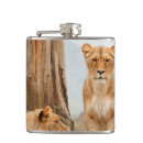 Pesquisar por leão cantis Leões