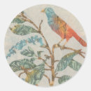 Pesquisar por aves domésticas adesivos Aviários