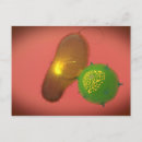 Pesquisar por imunologia cartoes postais Horizontal