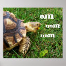 Pesquisar por nom do om Bonito