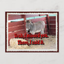 Pesquisar por bob cartoes postais Natureza