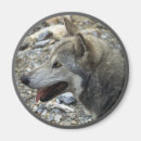 Pesquisar por lobo de madeira imas Animais