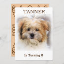 Pesquisar por pet party convites Animais de companhia