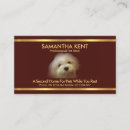 Pesquisar por maltês cartao de visita Animal