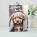 Pesquisar por marido e esposa cartoes Qualquer pessoa