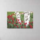 Pesquisar por tulipas impressão de canvas Fileira