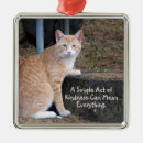 Pesquisar por bondade ornamentos Gato