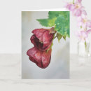 Pesquisar por flor de sino cartoes Rosa