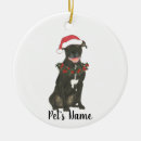 Pesquisar por american staffordshire terrier ornamentos Pitbull