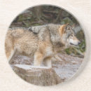 Pesquisar por wolf porta copos Natureza