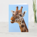 Pesquisar por giraffe cartoes Animais
