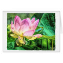 Pesquisar por lotus flower cartoes Aquarela