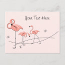 Pesquisar por pink flamingo cartoes postais Capricho