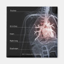 Pesquisar por coração humano imas Pessoas