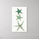 Pesquisar por starfish impressão de canvas Mar