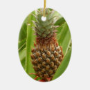 Pesquisar por abacaxi ornamentos Natureza