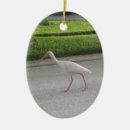 Pesquisar por íbis ornamentos Animais