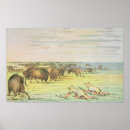 Pesquisar por búfalo americano pôsteres Índio